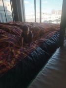 większy obrazek nr 13