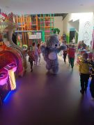 większy obrazek nr 16