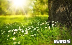 ilustracja do wpisu 
Tematyka na miesiąc kwiecień