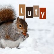 ilustracja do wpisu 
Tematyka na miesiąc - luty