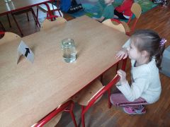 większy obrazek nr 6