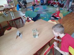 większy obrazek nr 7