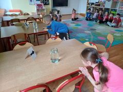 większy obrazek nr 9