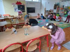 większy obrazek nr 10