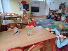 większy obrazek nr 12