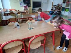 większy obrazek nr 13