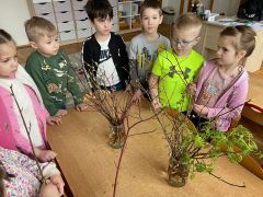 większy obrazek nr 5