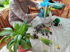 większy obrazek nr 3