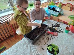 większy obrazek nr 6