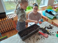 większy obrazek nr 7