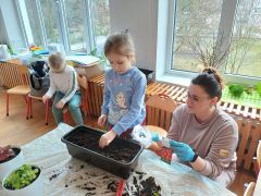 większy obrazek nr 8