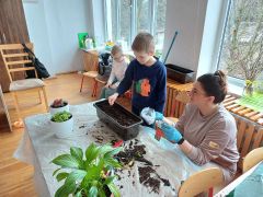 większy obrazek nr 9