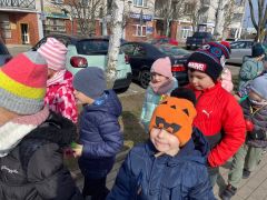 większy obrazek nr 9