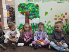 większy obrazek nr 6