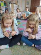 większy obrazek nr 1