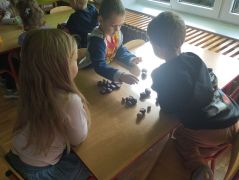 większy obrazek nr 11