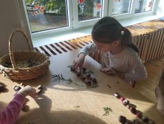 większy obrazek nr 14