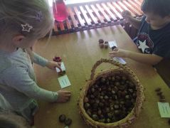 większy obrazek nr 6