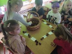 większy obrazek nr 7