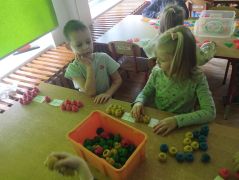 większy obrazek nr 8