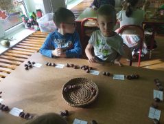 większy obrazek nr 12