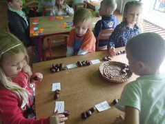 większy obrazek nr 13