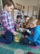 większy obrazek nr 8