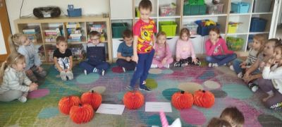 większy obrazek nr 14