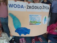 większy obrazek nr 8