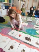 większy obrazek nr 10