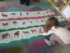 większy obrazek nr 11