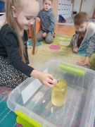 ilustracja do wpisu 
"Przedszkolna akademia nauki " - zajęcia przyrodnicze