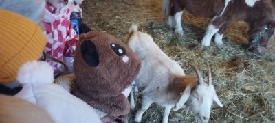 większy obrazek nr 46