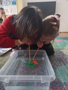 większy obrazek nr 1