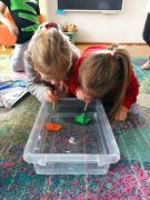 większy obrazek nr 2