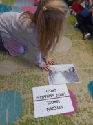 większy obrazek nr 14