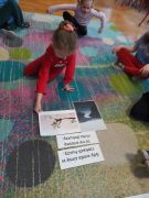 większy obrazek nr 17