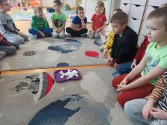 większy obrazek nr 26