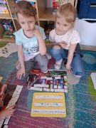 większy obrazek nr 1