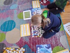 większy obrazek nr 10