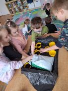 większy obrazek nr 1