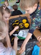 ilustracja do wpisu 
Siejemy owies na Wielkanoc 🐣