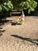 większy obrazek nr 2