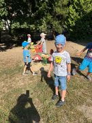 większy obrazek nr 8