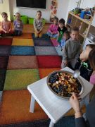 większy obrazek nr 8