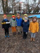 większy obrazek nr 8