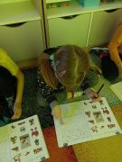 większy obrazek nr 2