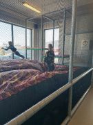 większy obrazek nr 4