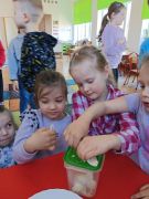 większy obrazek nr 7