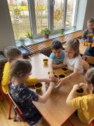 ilustracja do wpisu 
Po co sieje się owies?